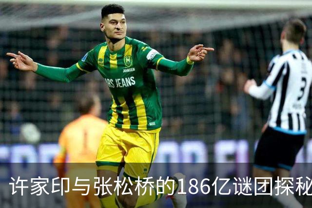 许家印与张松桥的186亿谜团探秘